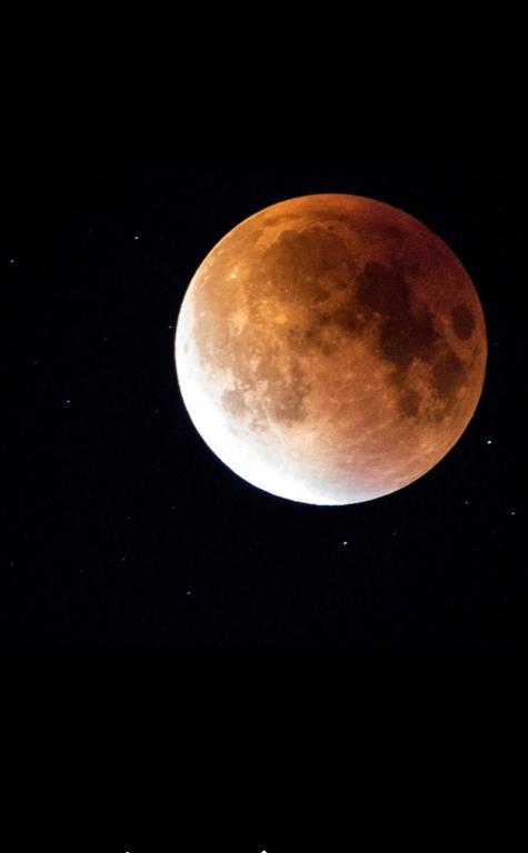 Luna Costinești Dış mekan fotoğraf