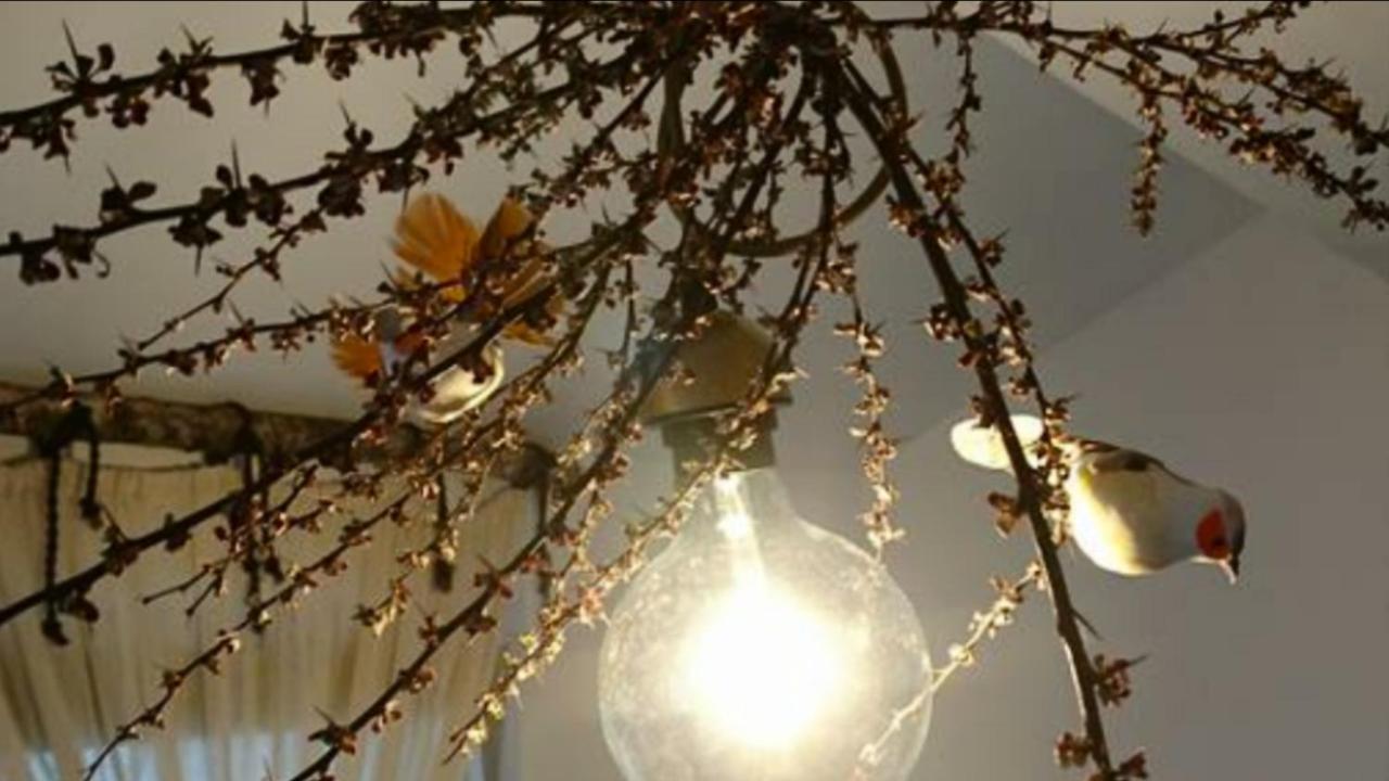 Luna Costinești Dış mekan fotoğraf